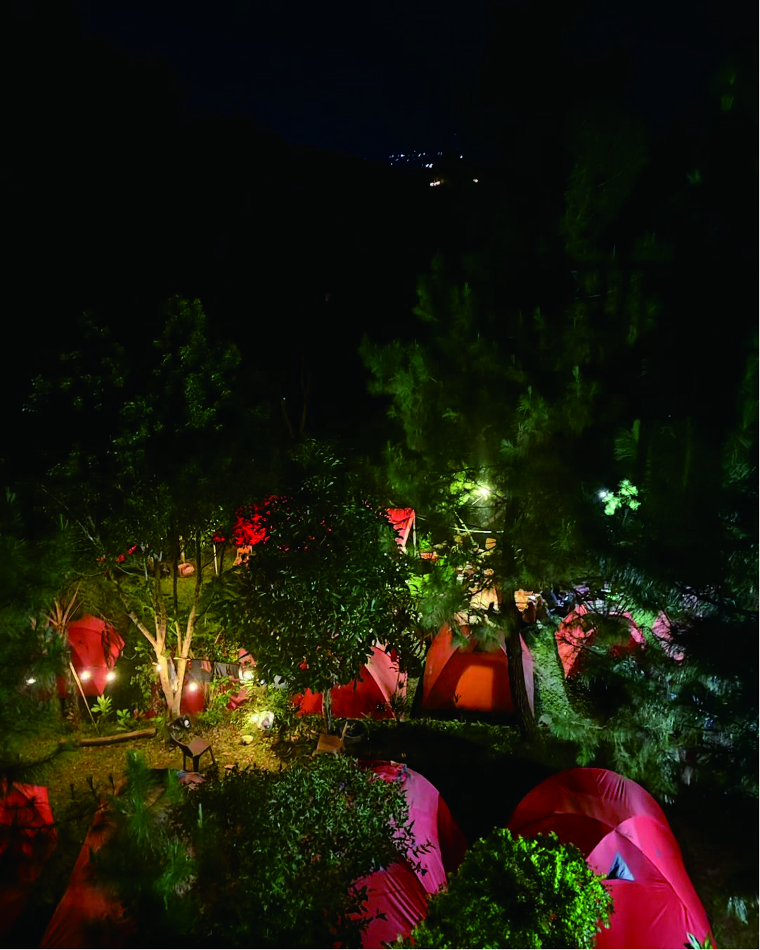 Jangan camping di Cidahu, bhumi cantigi camp cidahu, lokasi camping ramah anak